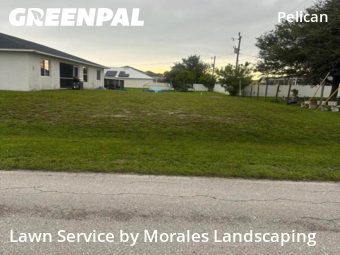 Yard Mowing nearby Cape Coral, FL, 