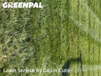 Lawn Servicein Murfreesboro,37128,Lawn Care by Cajun Cuts, work completed in Jun , 2026
