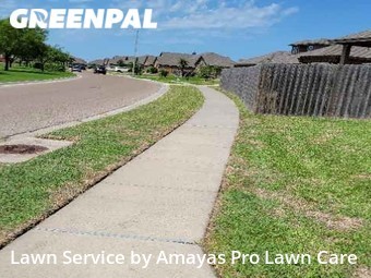Yard Mowing nearby Corpus Christi, TX, 