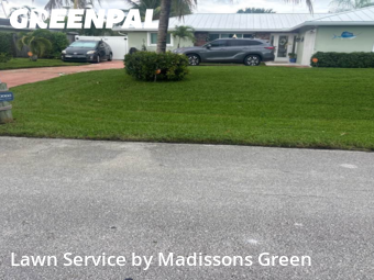 Weed Trimming in Palm Beach Gardens, 33410, Lawn Management by Madissons Green, work completed in Nov , 2025