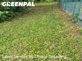 Lawn Mow nearby Baltimore, MD, 