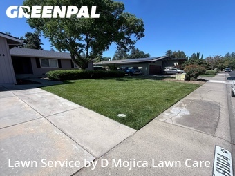 Grass Cutting nearby Elk Grove, CA, 