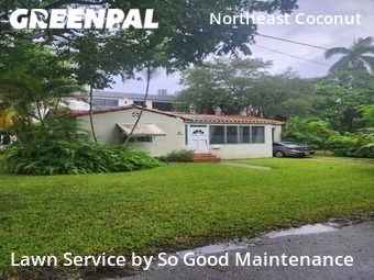 Lawn Cut nearby Miami, FL, 