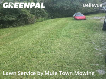 Grass Cut nearby Nashville, TN, 