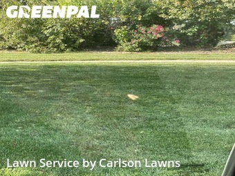 Lawn Cutting nearby Gretna, NE, 