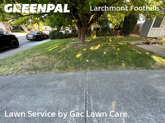Lawn Mowing nearby Sacramento, CA, 