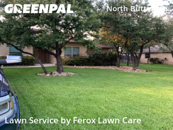 Grass Cut nearby Cedar Park, TX, 
