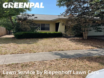 Lawn Mowing nearby Palm Harbor, FL, 