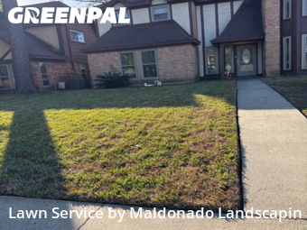 Lawn Carein Humble,77396,Lawn Mow by Maldonado Landscapin, work completed in Jan , 2026