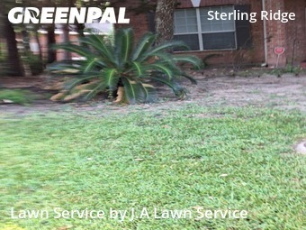 Lawn Mowing Servicein The Woodlands,77382,Lawn Maintenance by J.A Lawn Service, work completed in Dec , 2025