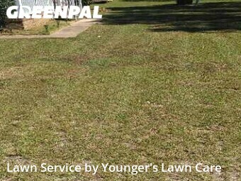 Lawn Cut nearby Fayetteville, NC, 