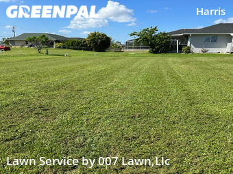 Lawn Cut nearby Lehigh Acres, FL, 