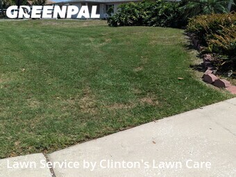 Grass Cut nearby Seminole, FL, 