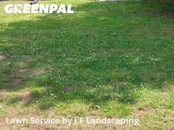 Grass Cut nearby Columbia, TN, 