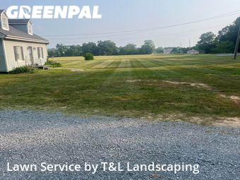 Lawn Care nearby Forest, VA, 