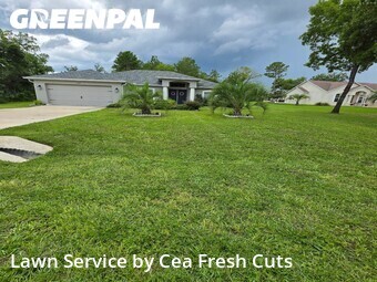 Lawn Mow nearby Ocala, FL, 