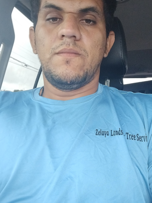 Zelaya Tree Service 