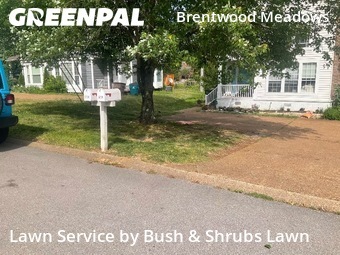 Lawn Maintenancein Brentwood,37027,Lawn Care by Bush & Shrubs Lawn, work completed in Jun , 2026