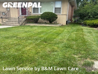 Lawn Cut nearby South Holland, IL, 