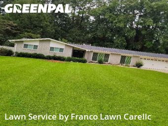 Grass Cut nearby Stone Mountain, GA, 