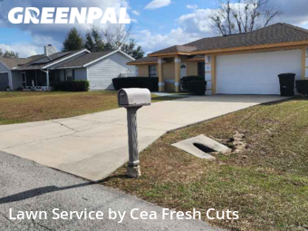 Yard Mowing nearby Ocala, FL, 
