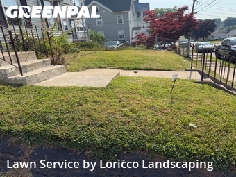 Lawn mowed in New Britain, 6051
