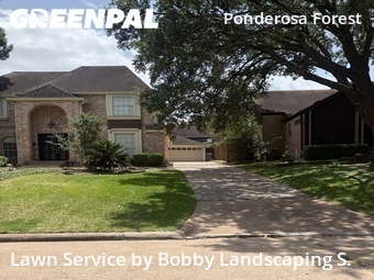 Lawn Care nearby Houston, TX, 