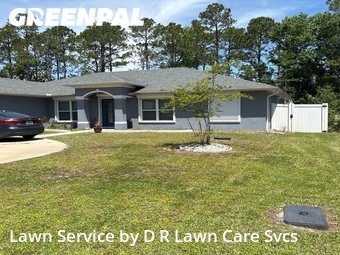 Lawn Cut nearby Palm Coast, FL, 