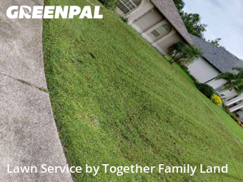 Lawn Service nearby Punta Gorda, FL, 