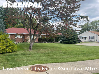 Lawn Mowing nearby Parma, OH, 