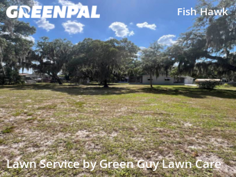 Grass Cut nearby Lithia, FL, 