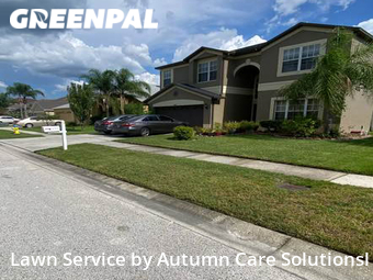 Lawn Cutting nearby Tampa, FL, 