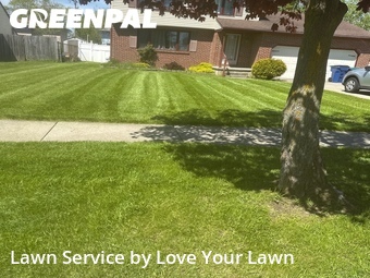 Lawn Care nearby Buffalo, NY, 