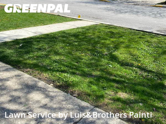 Lawn Mow nearby Cicero, IL, 