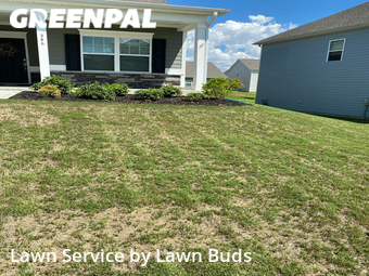 Yard Cutting nearby Mount Holly, NC, 