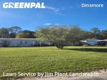 Grass Cut nearby Jacksonville, FL, 