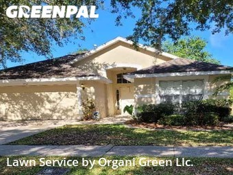 Lawn Cut nearby Seffner, FL, 