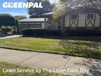Grass Care in Warren, 48093, Yard Care Services by The Lawn Care Guy , work completed in Nov , 2025