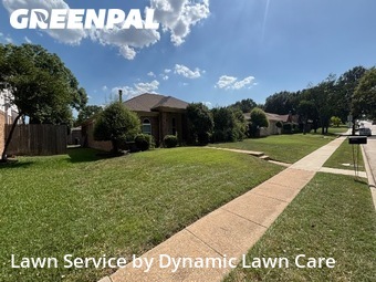 Lawn Care nearby Plano, TX, 