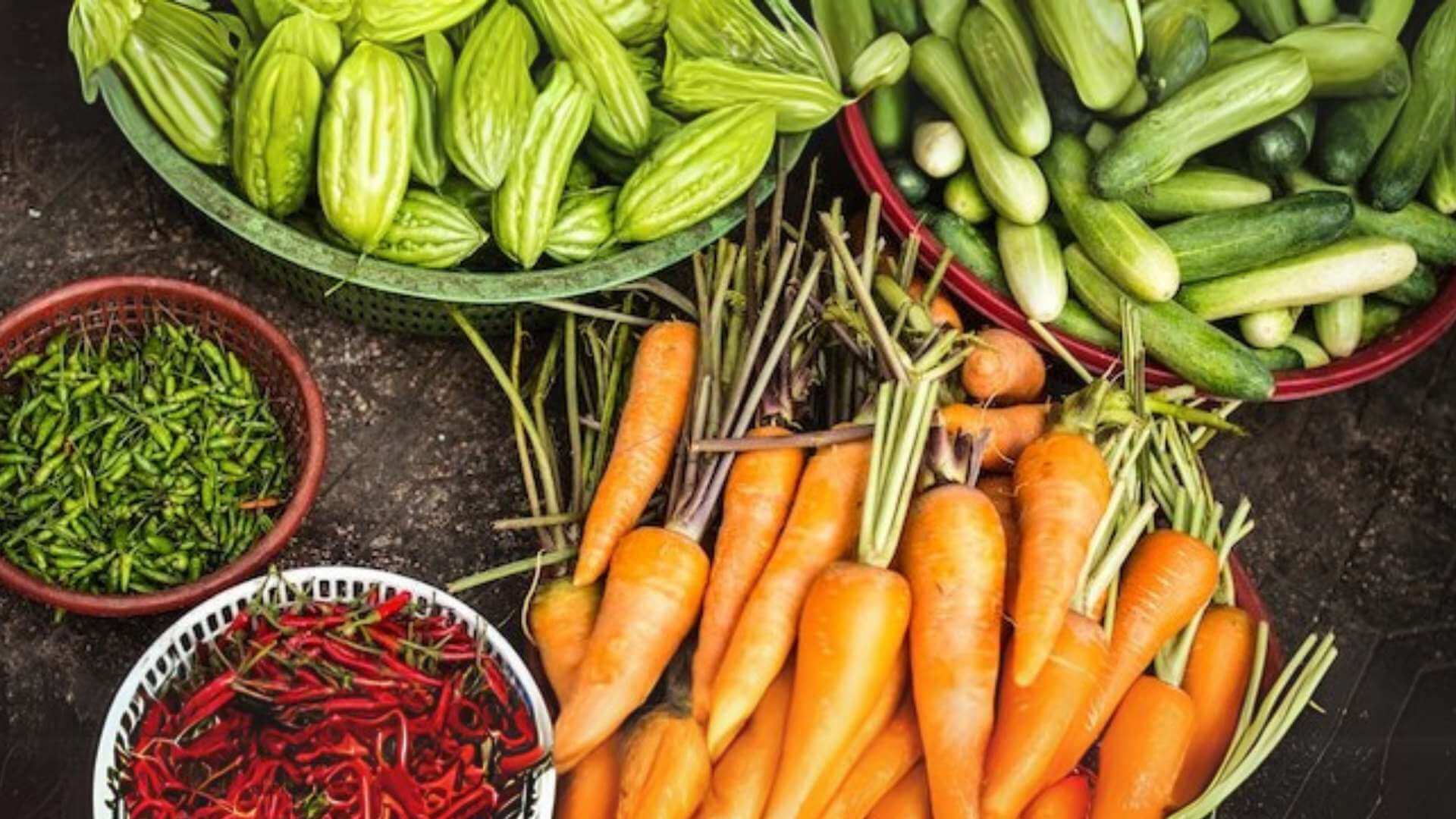  5 Essential Steps to Installing a Successful Vegetable Garden 