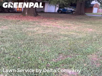 Lawn Mowing Service nearby Bowling Green, KY, 