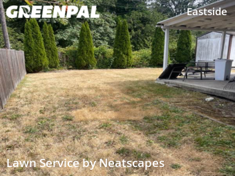 Lawn Mowing nearby Tacoma, WA, 