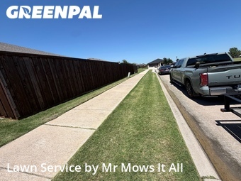Lawn Mow nearby Princeton, TX, 