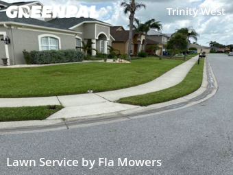 Lawn Maintenance nearby Trinity, FL, 