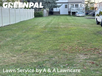 Grass Cut nearby Trenton, NJ, 