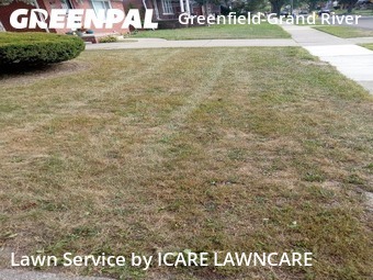 Grass Cut nearby Detroit, MI, 