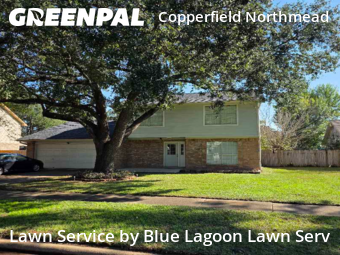 Landscaper In Houston,77095,Landscaping Cleanup by Blue Lagoon Lawn Serv, work completed in Dec , 2025