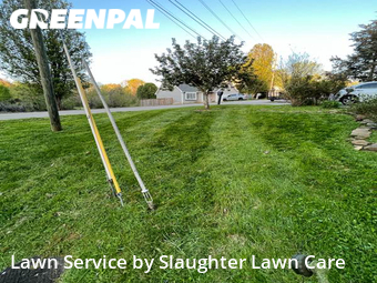 Grass Cutting nearby Knoxville, TN, 