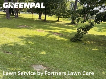 Lawn Cutting nearby Birmingham, AL, 