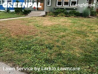 Lawn Care nearby Minneapolis, MN, 